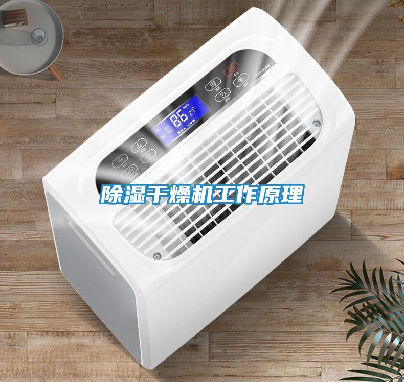 除湿干燥机工作原理