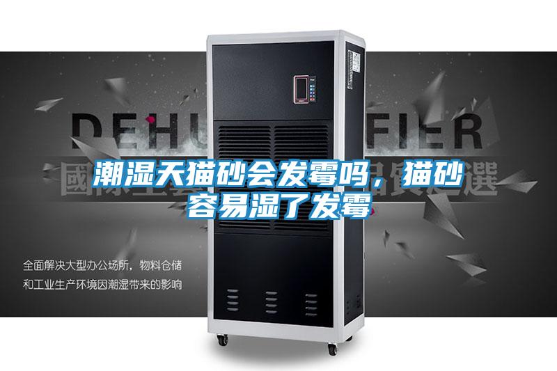 潮湿天猫砂会发霉吗，猫砂容易湿了发霉