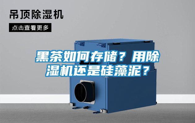 黑茶如何存储？用除湿机还是硅藻泥？