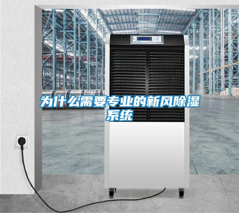 为什么需要专业的新风除湿系统