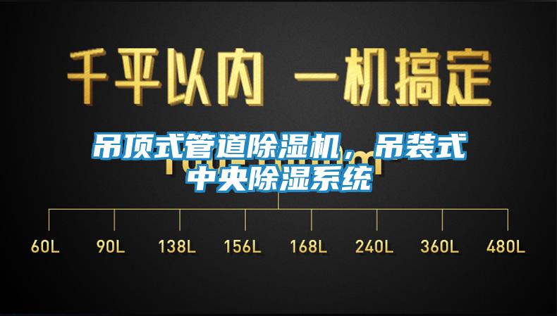 吊顶式管道除湿机，吊装式中央除湿系统