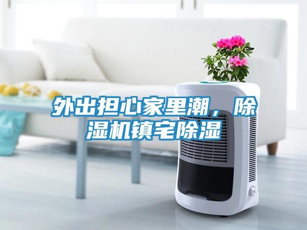 外出担心家里潮，除湿机镇宅除湿