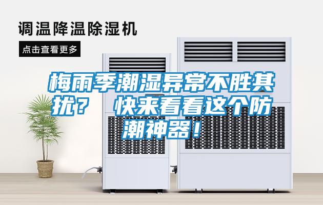 梅雨季潮湿异常不胜其扰？ 快来看看这个防潮神器！