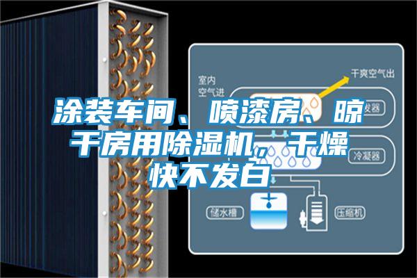 涂装车间、喷漆房、晾干房用除湿机，干燥快不发白