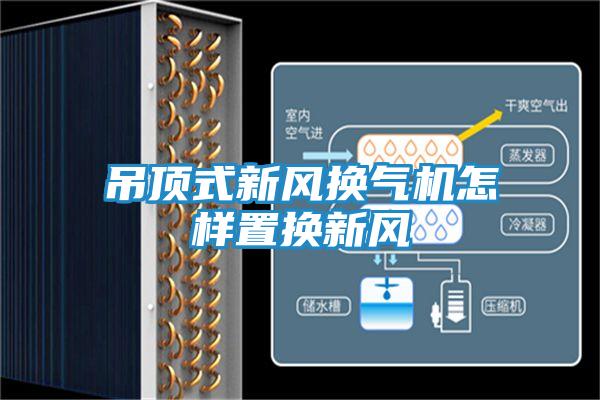吊顶式新风换气机怎样置换新风