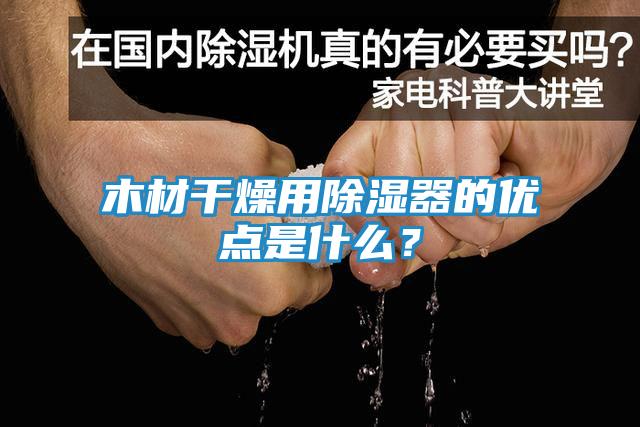 木材干燥用除湿器的优点是什么？