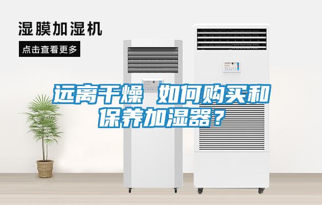 远离干燥 如何购买和保养加湿器？
