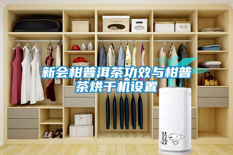 新会柑普洱茶功效与柑普茶烘干机设置