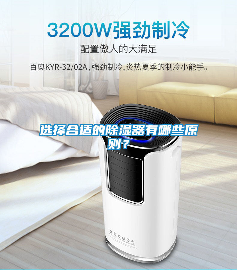 选择合适的除湿器有哪些原则?