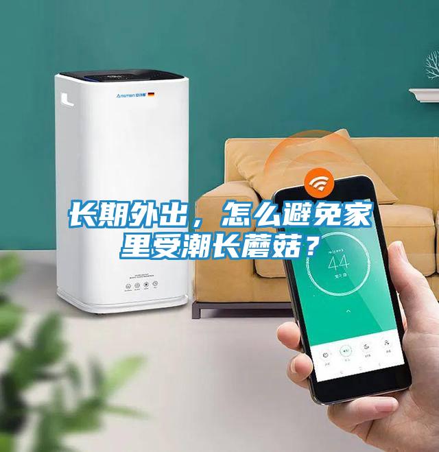 长期外出，怎么避免家里受潮长蘑菇？