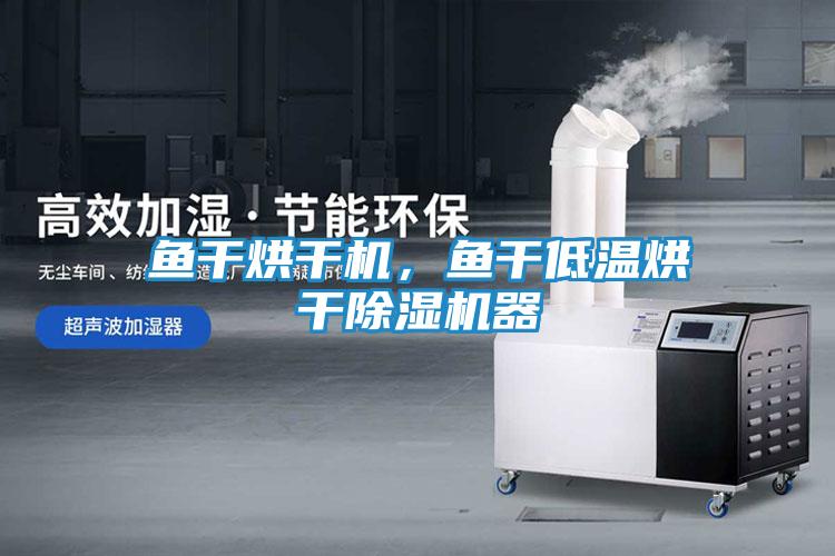 鱼干烘干机，鱼干低温烘干除湿机器