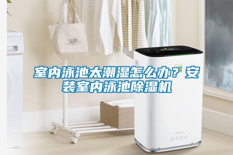 室内泳池太潮湿怎么办？安装室内泳池除湿机