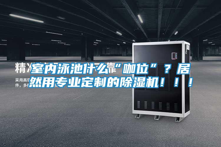 室内泳池什么“咖位”？居然用专业定制的除湿机！！！
