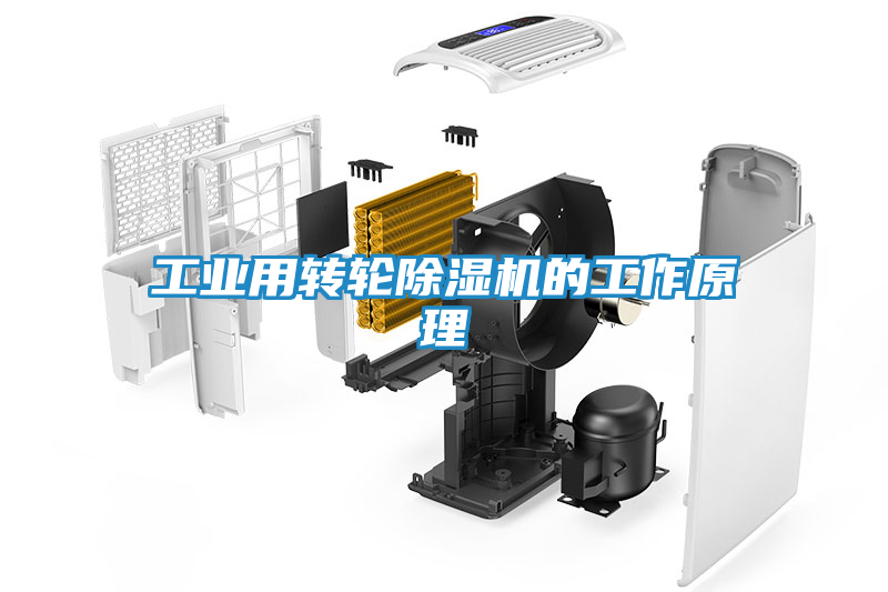 工业用转轮除湿机的工作原理
