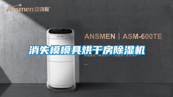 消失模模具烘干房除湿机