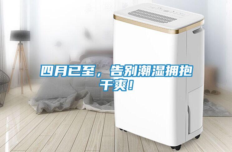 四月已至，告别潮湿拥抱干爽！