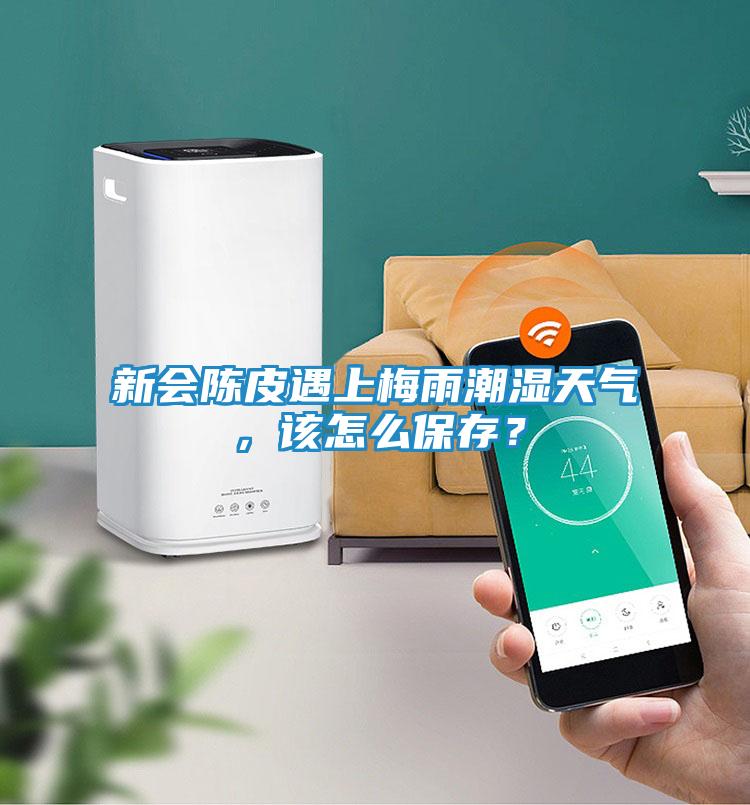 新会陈皮遇上梅雨潮湿天气，该怎么保存？