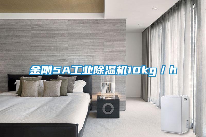 金刚5A工业除湿机10kg／h