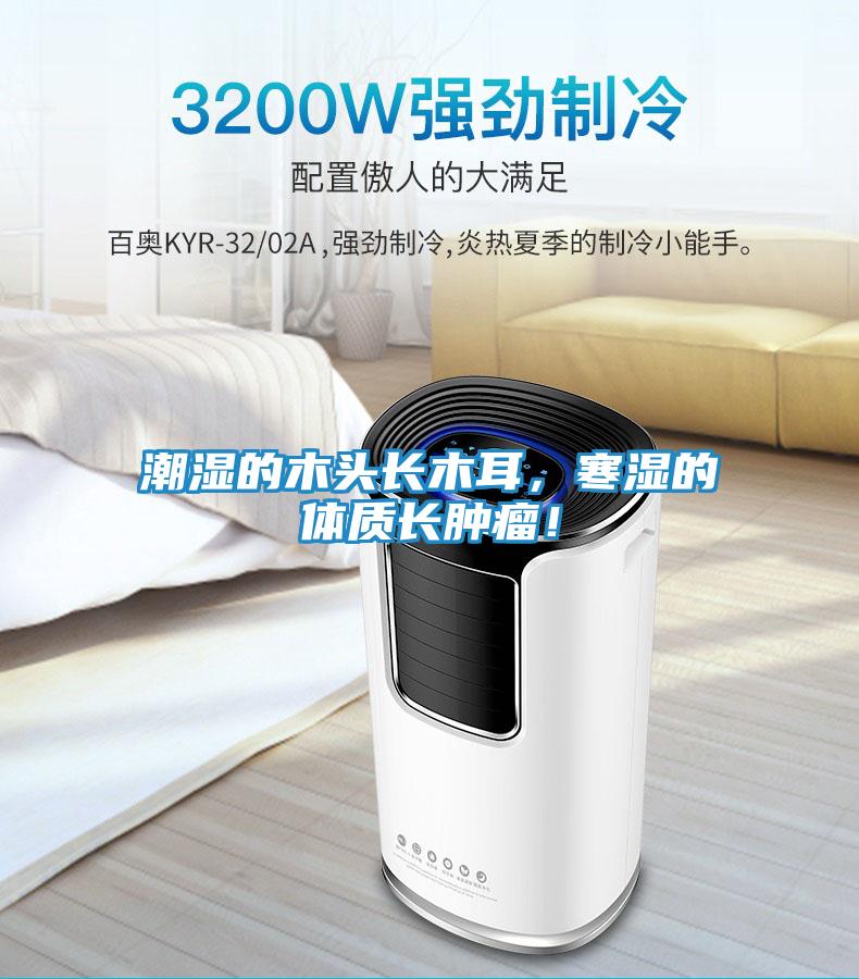 潮湿的木头长木耳，寒湿的体质长肿瘤！