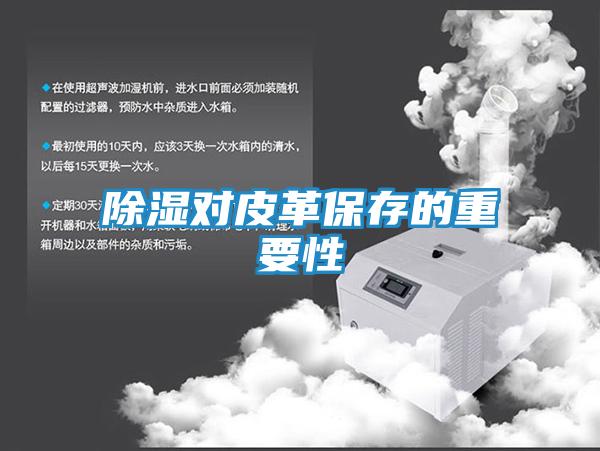 除湿对皮革保存的重要性