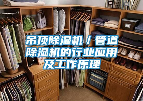 吊顶除湿机／管道除湿机的行业应用及工作原理