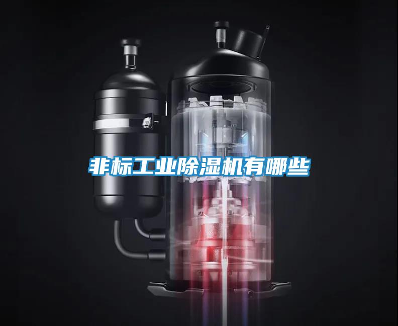 非标工业除湿机有哪些