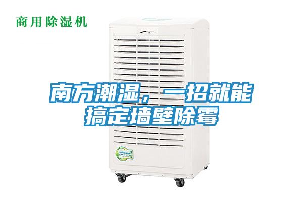 南方潮湿，一招就能搞定墙壁除霉