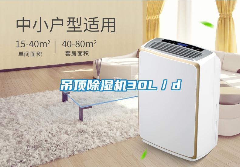 吊顶除湿机30L／d