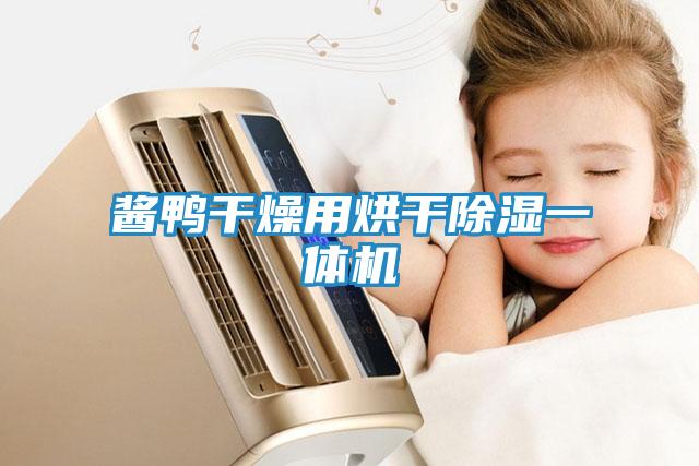 酱鸭干燥用烘干除湿一体机