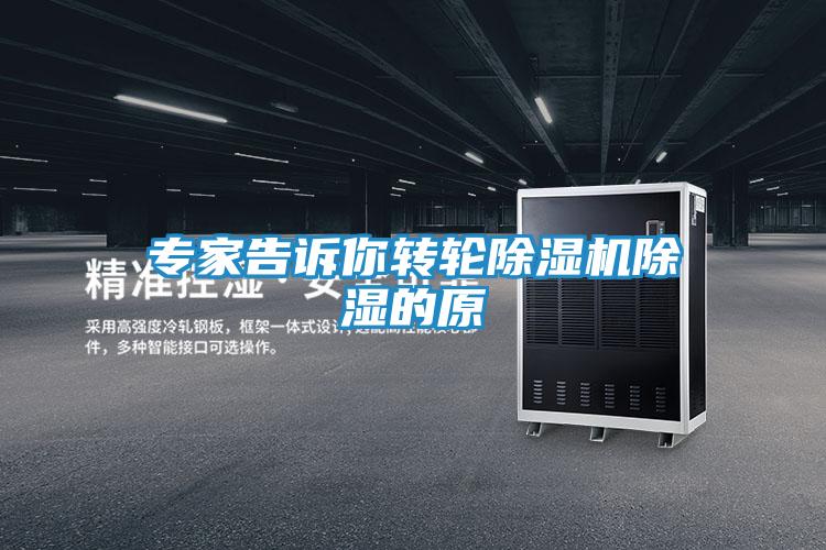 专家告诉你转轮除湿机除湿的原