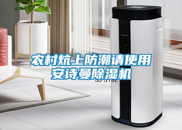 农村炕上防潮请使用安诗曼除湿机