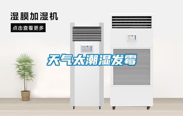 天气太潮湿发霉