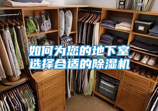 如何为您的地下室选择合适的除湿机