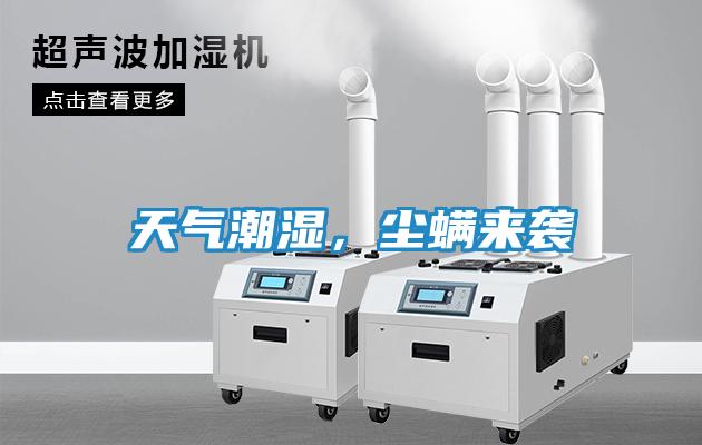 天气潮湿，尘螨来袭