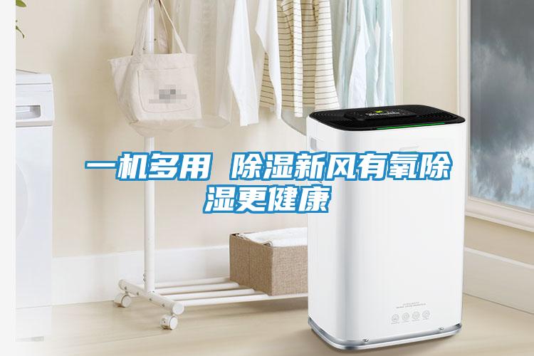 一机多用 除湿新风有氧除湿更健康