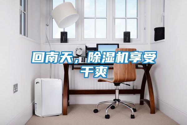 回南天,除湿机享受干爽