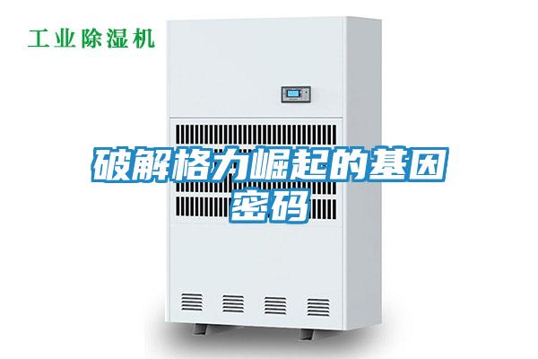 破解格力崛起的基因密码