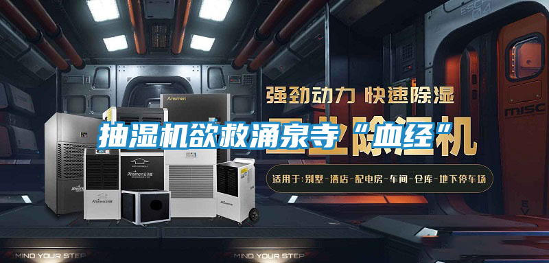 抽湿机欲救涌泉寺“血经”