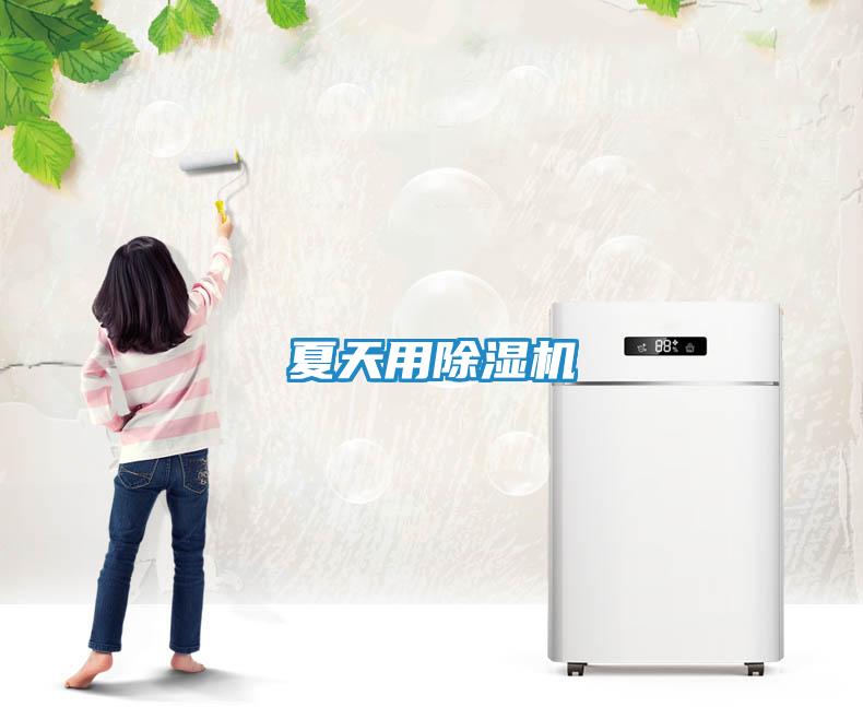 夏天用除湿机