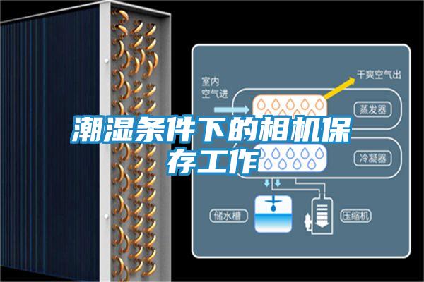 潮湿条件下的相机保存工作