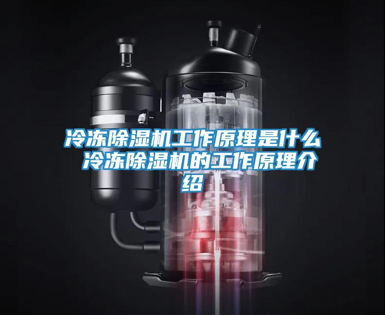 冷冻除湿机工作原理是什么 冷冻除湿机的工作原理介绍