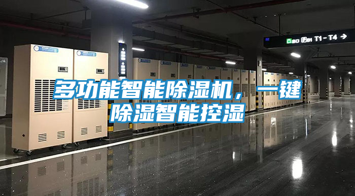 多功能智能除湿机，一键除湿智能控湿