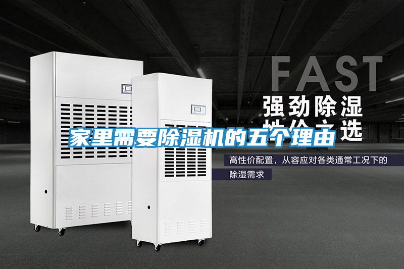 家里需要除湿机的五个理由