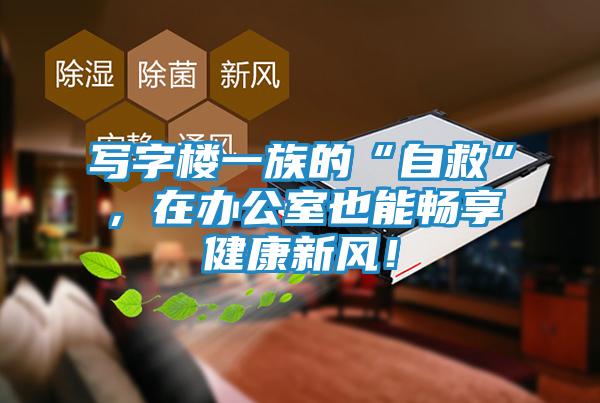 写字楼一族的“自救”,在办公室也能畅享健康新风!