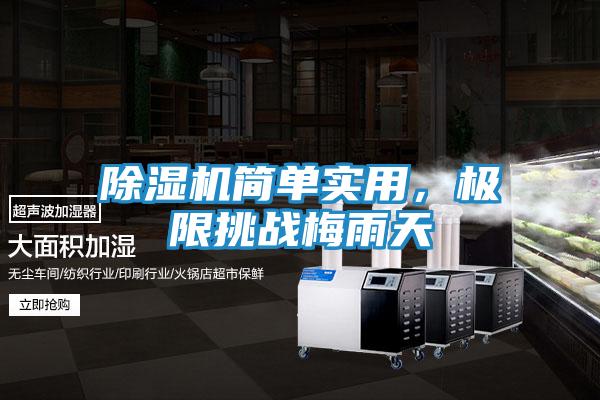除湿机简单实用，极限挑战梅雨天