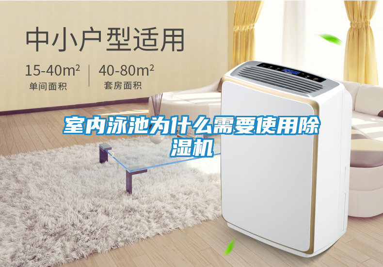 室内泳池为什么需要使用除湿机
