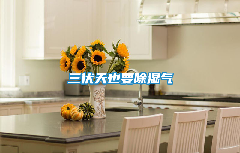 三伏天也要除湿气