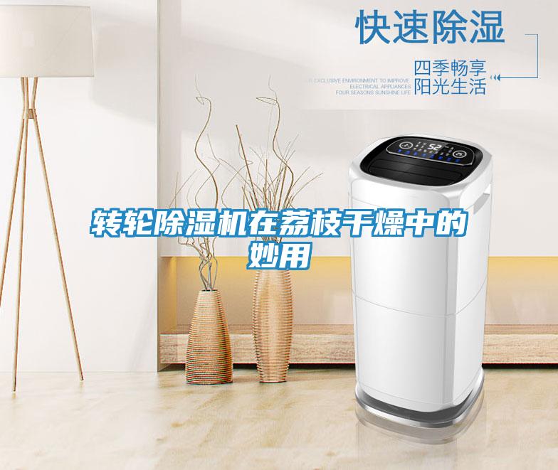 转轮除湿机在荔枝干燥中的妙用