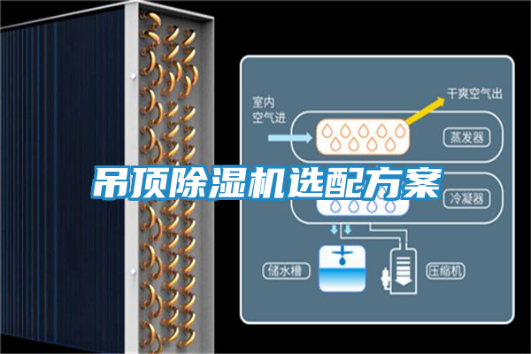 吊顶除湿机选配方案