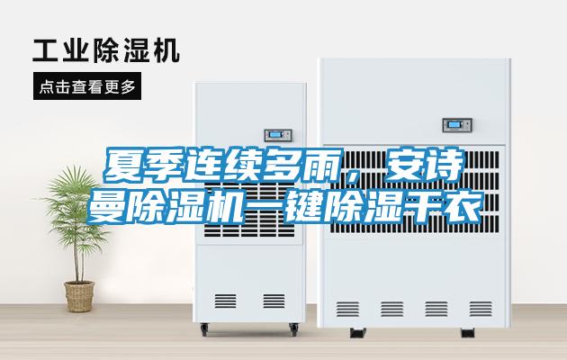 夏季连续多雨，安诗曼除湿机一键除湿干衣